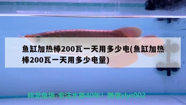 魚(yú)缸加熱棒200瓦一天用多少電(魚(yú)缸加熱棒200瓦一天用多少電量) 埃及神仙魚(yú)