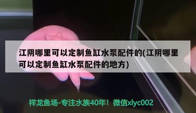 江陰哪里可以定制魚缸水泵配件的(江陰哪里可以定制魚缸水泵配件的地方)