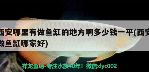 西安哪里有做魚缸的地方啊多少錢一平(西安做魚缸哪家好)