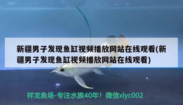 新疆男子發(fā)現(xiàn)魚(yú)缸視頻播放網(wǎng)站在線觀看(新疆男子發(fā)現(xiàn)魚(yú)缸視頻播放網(wǎng)站在線觀看) 七彩神仙魚(yú)