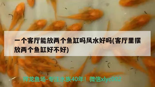 一個客廳能放兩個魚缸嗎風(fēng)水好嗎(客廳里擺放兩個魚缸好不好)