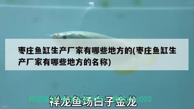 棗莊魚缸生產(chǎn)廠家有哪些地方的(棗莊魚缸生產(chǎn)廠家有哪些地方的名稱) 金龍魚糧