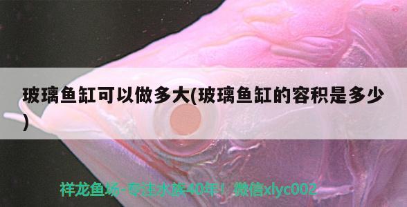 玻璃魚缸可以做多大(玻璃魚缸的容積是多少) 南美異型魚