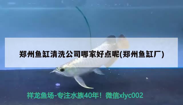 鄭州魚缸清洗公司哪家好點呢(鄭州魚缸廠)