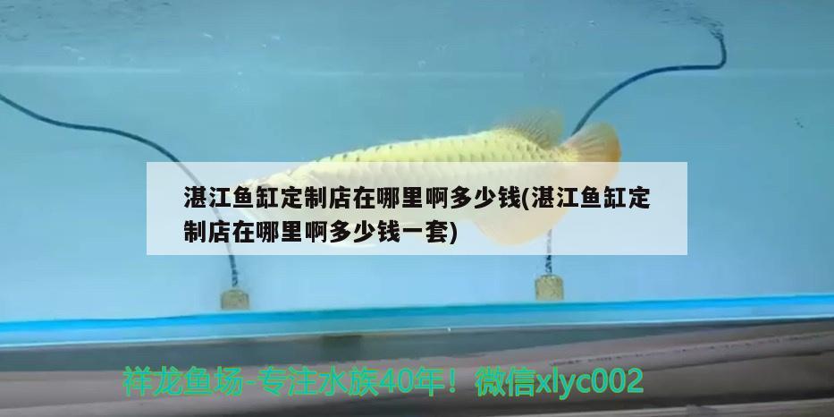 湛江魚缸定制店在哪里啊多少錢(湛江魚缸定制店在哪里啊多少錢一套)