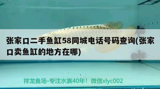 張家口二手魚(yú)缸58同城電話號(hào)碼查詢(xún)(張家口賣(mài)魚(yú)缸的地方在哪)