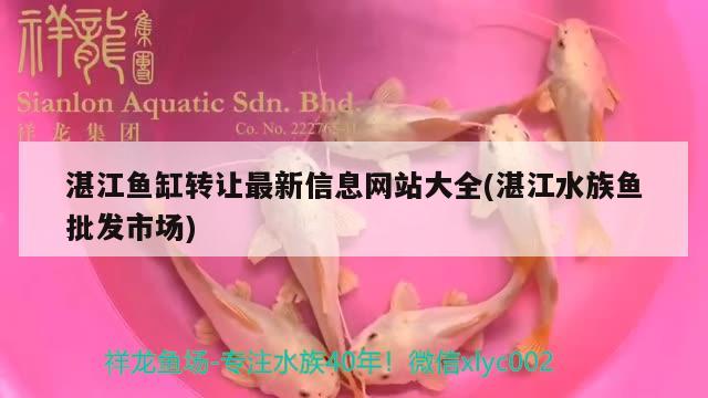 湛江魚(yú)缸轉(zhuǎn)讓最新信息網(wǎng)站大全(湛江水族魚(yú)批發(fā)市場(chǎng)) 白化巴西龜（白巴）