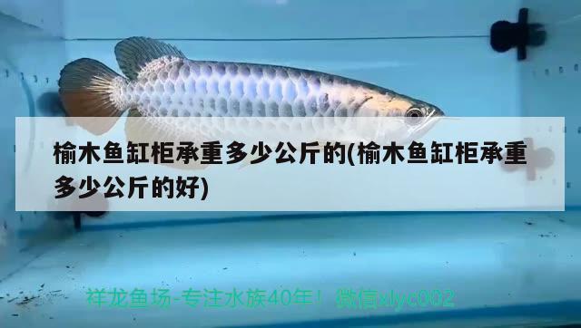 榆木魚(yú)缸柜承重多少公斤的(榆木魚(yú)缸柜承重多少公斤的好) 海象魚(yú)