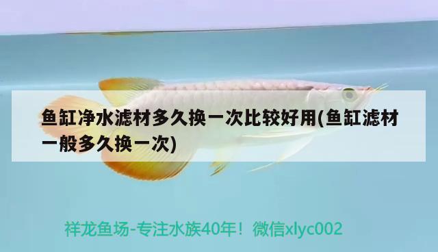 魚缸凈水濾材多久換一次比較好用(魚缸濾材一般多久換一次) 觀賞魚水族批發(fā)市場(chǎng)