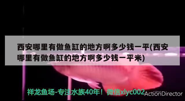 西安哪里有做魚缸的地方啊多少錢一平(西安哪里有做魚缸的地方啊多少錢一平米)