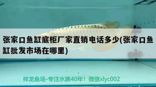 張家口魚缸底柜廠家直銷電話多少(張家口魚缸批發(fā)市場(chǎng)在哪里) 熊貓異形魚L46