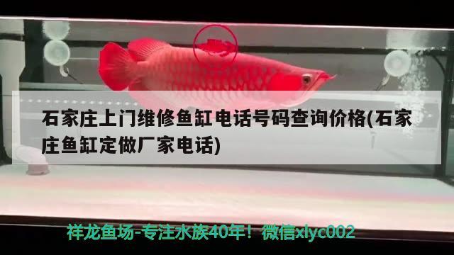 石家莊上門維修魚缸電話號(hào)碼查詢價(jià)格(石家莊魚缸定做廠家電話)