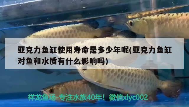 亞克力魚缸使用壽命是多少年呢(亞克力魚缸對魚和水質有什么影響嗎) 羅漢魚批發(fā)