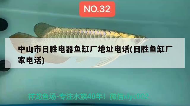 中山市日勝電器魚缸廠地址電話(日勝魚缸廠家電話) 福虎/異型虎魚/純色虎魚 第2張