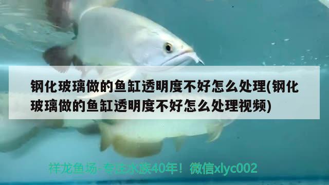 鋼化玻璃做的魚缸透明度不好怎么處理(鋼化玻璃做的魚缸透明度不好怎么處理視頻) 造景/裝飾