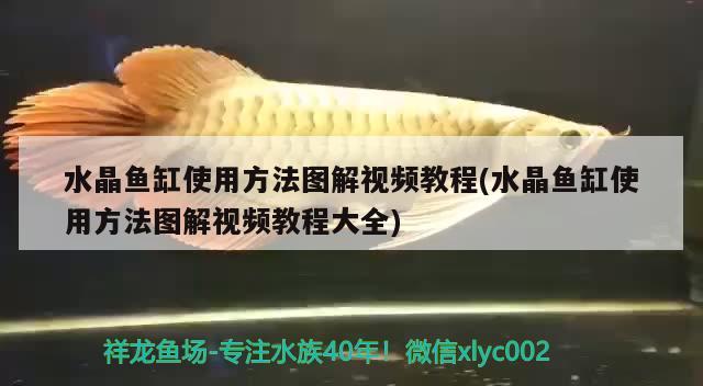 水晶魚(yú)缸使用方法圖解視頻教程(水晶魚(yú)缸使用方法圖解視頻教程大全)