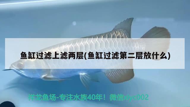 魚缸過濾上濾兩層(魚缸過濾第二層放什么) 觀賞魚進出口