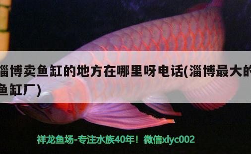 淄博賣魚缸的地方在哪里呀電話(淄博最大的魚缸廠) 孵化器