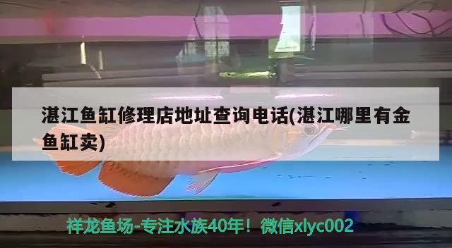 湛江魚缸修理店地址查詢電話(湛江哪里有金魚缸賣) 觀賞魚市場 第2張