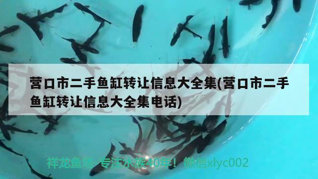 營(yíng)口市二手魚缸轉(zhuǎn)讓信息大全集(營(yíng)口市二手魚缸轉(zhuǎn)讓信息大全集電話) 雙線側(cè)魚