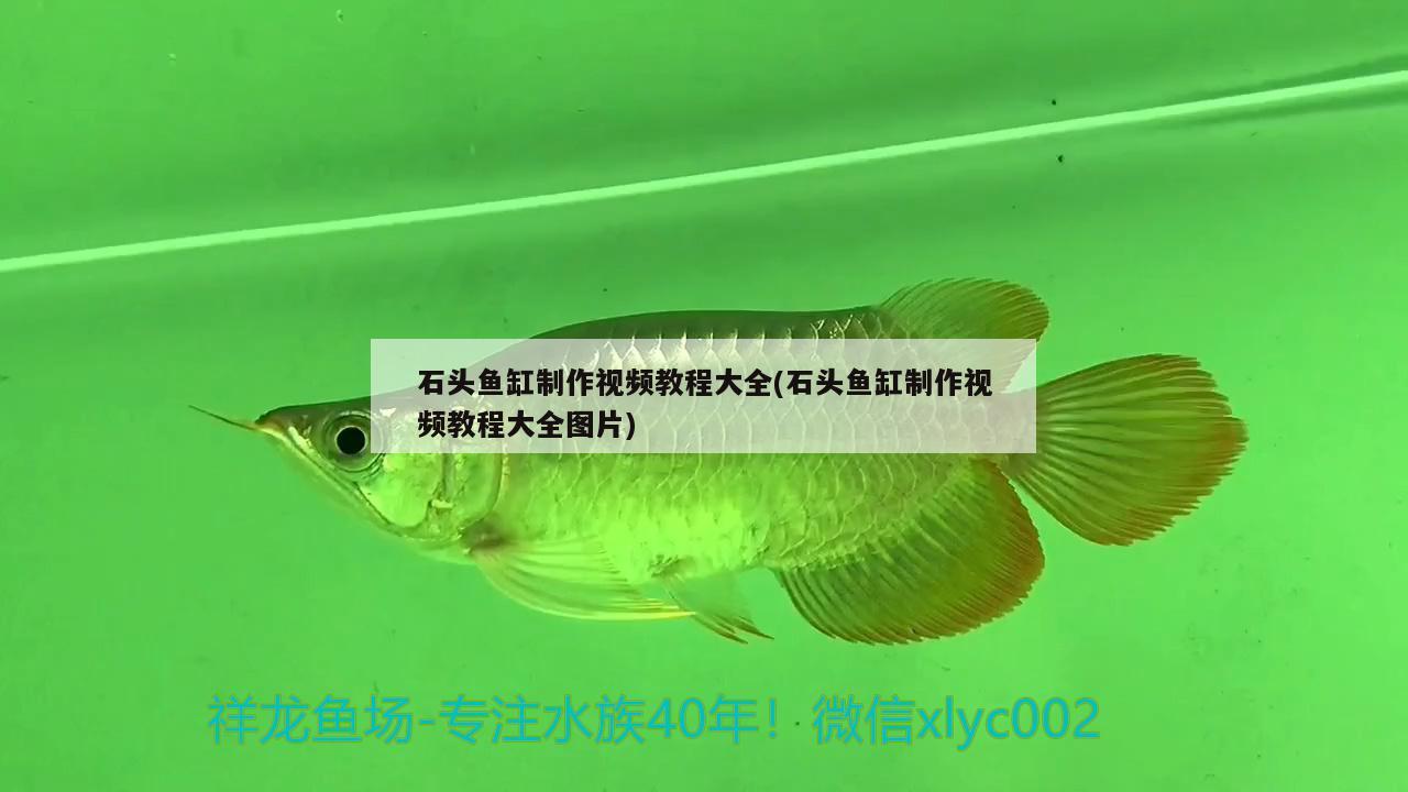 石頭魚(yú)缸制作視頻教程大全(石頭魚(yú)缸制作視頻教程大全圖片)