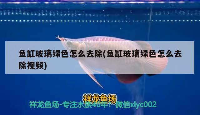 魚缸玻璃綠色怎么去除(魚缸玻璃綠色怎么去除視頻) 廣州水族器材濾材批發(fā)市場(chǎng)