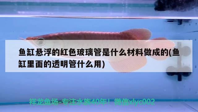 魚缸懸浮的紅色玻璃管是什么材料做成的(魚缸里面的透明管什么用)