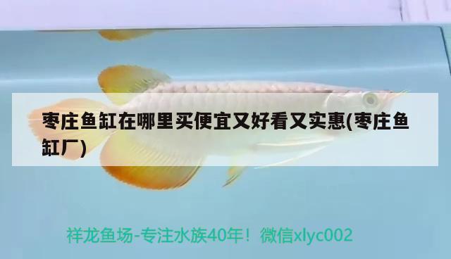 棗莊魚缸在哪里買便宜又好看又實惠(棗莊魚缸廠) 水族品牌