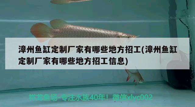 漳州魚缸定制廠家有哪些地方招工(漳州魚缸定制廠家有哪些地方招工信息)