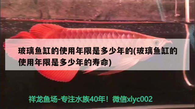 玻璃魚缸的使用年限是多少年的(玻璃魚缸的使用年限是多少年的壽命) 野生地圖魚