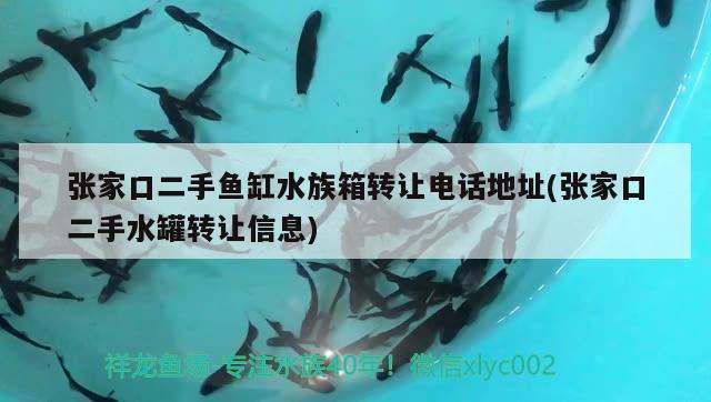 張家口二手魚缸水族箱轉(zhuǎn)讓電話地址(張家口二手水罐轉(zhuǎn)讓信息) 魚缸/水族箱