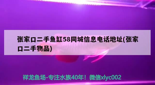 張家口二手魚(yú)缸58同城信息電話地址(張家口二手物品) 祥龍超血紅龍魚(yú)