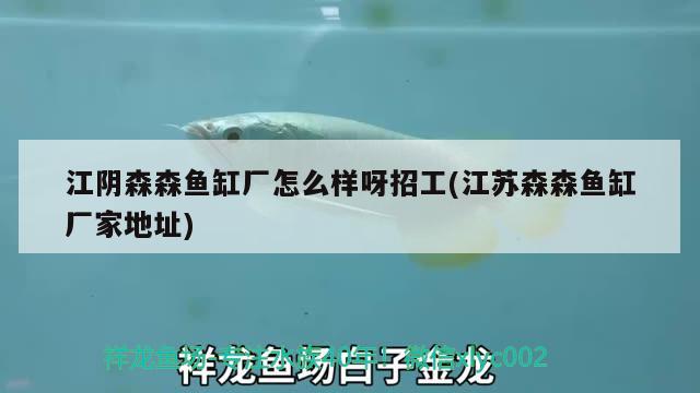 江陰森森魚(yú)缸廠怎么樣呀招工(江蘇森森魚(yú)缸廠家地址)