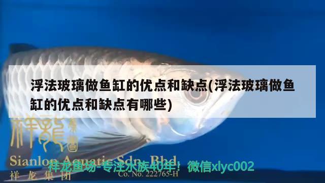 浮法玻璃做魚缸的優(yōu)點(diǎn)和缺點(diǎn)(浮法玻璃做魚缸的優(yōu)點(diǎn)和缺點(diǎn)有哪些) 大日玉鯖魚