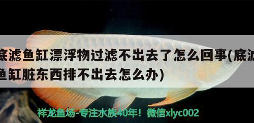 底濾魚缸漂浮物過濾不出去了怎么回事(底濾魚缸臟東西排不出去怎么辦) 賽級紅龍魚