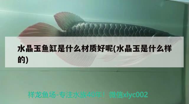 水晶玉魚(yú)缸是什么材質(zhì)好呢(水晶玉是什么樣的)