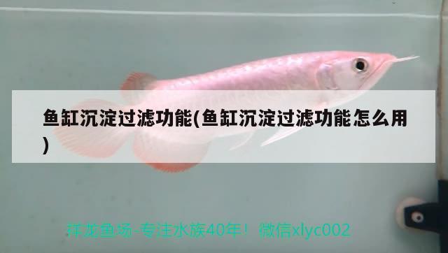 魚缸沉淀過濾功能(魚缸沉淀過濾功能怎么用) 魚缸清潔用具