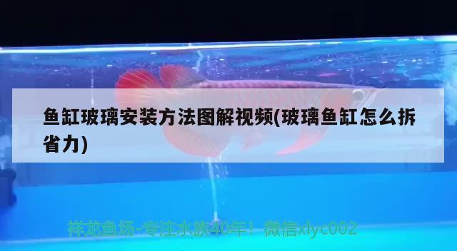 魚缸玻璃安裝方法圖解視頻(玻璃魚缸怎么拆省力) 小型觀賞魚