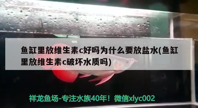 魚缸里放維生素c好嗎為什么要放鹽水(魚缸里放維生素c破壞水質(zhì)嗎) 翡翠鳳凰魚