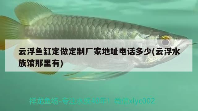 云浮魚缸定做定制廠家地址電話多少(云浮水族館那里有)