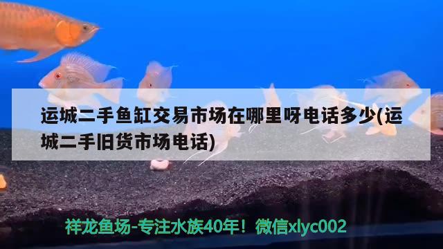 運城二手魚缸交易市場在哪里呀電話多少(運城二手舊貨市場電話) 鸚鵡魚