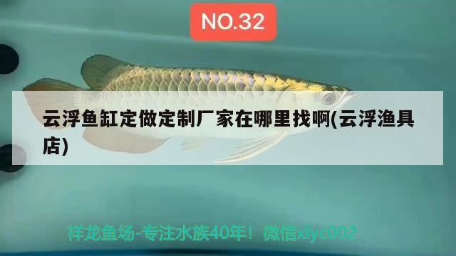 云浮魚缸定做定制廠家在哪里找啊(云浮漁具店)