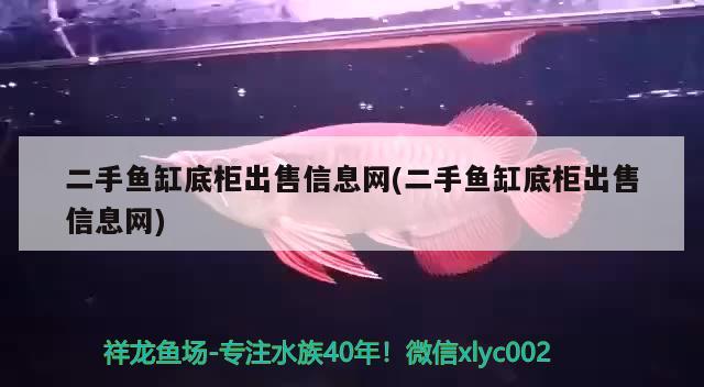 二手魚缸底柜出售信息網(wǎng)(二手魚缸底柜出售信息網(wǎng)) 大正錦鯉魚 第1張