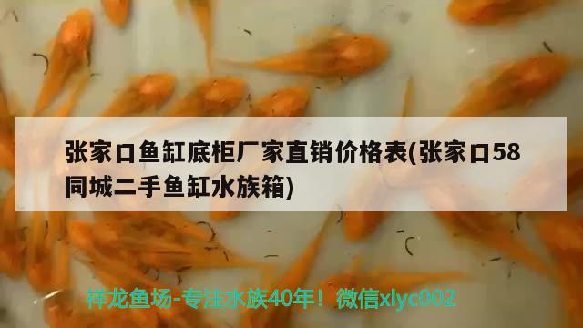 張家口魚缸底柜廠家直銷價格表(張家口58同城二手魚缸水族箱) 魚缸/水族箱