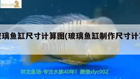 玻璃魚缸尺寸計算圖(玻璃魚缸制作尺寸計算) 白寫錦鯉魚 第2張