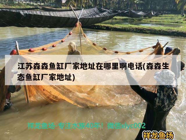 江蘇森森魚(yú)缸廠(chǎng)家地址在哪里啊電話(huà)(森森生態(tài)魚(yú)缸廠(chǎng)家地址)