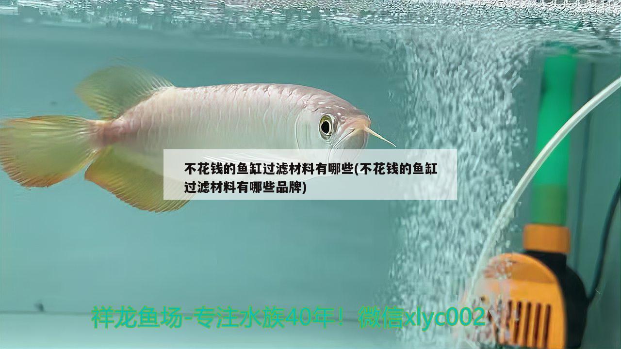 不花錢的魚缸過濾材料有哪些(不花錢的魚缸過濾材料有哪些品牌)