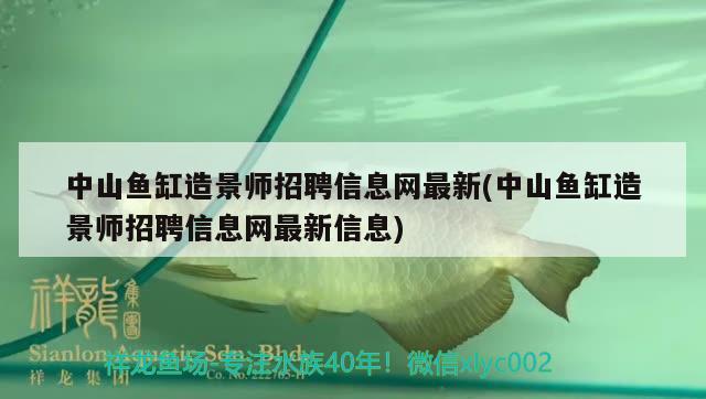 中山魚(yú)缸造景師招聘信息網(wǎng)最新(中山魚(yú)缸造景師招聘信息網(wǎng)最新信息)