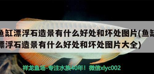 魚缸漂浮石造景有什么好處和壞處圖片(魚缸漂浮石造景有什么好處和壞處圖片大全)