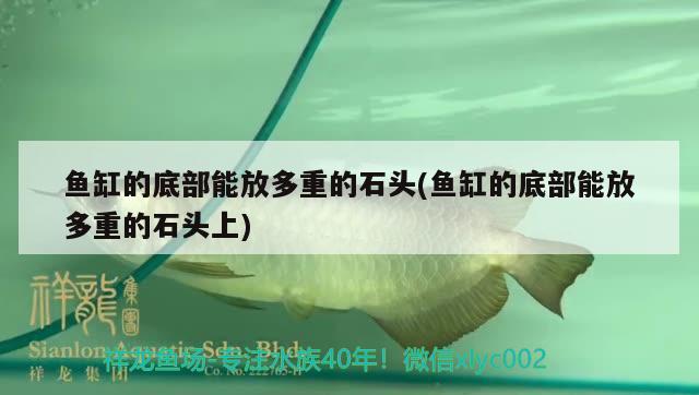 魚缸的底部能放多重的石頭(魚缸的底部能放多重的石頭上) 藍帆三間魚